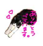 うちのちびちゃん:)（個別スタンプ：6）