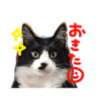 うちのちびちゃん:)（個別スタンプ：7）