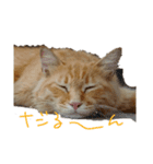 でぶそら（個別スタンプ：4）