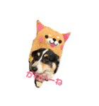 黒コーギー犬のアイル君（個別スタンプ：6）