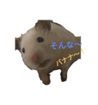 モカの仲間たち（個別スタンプ：4）