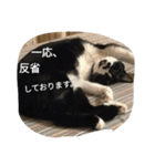 モカの仲間たち（個別スタンプ：9）