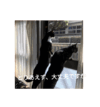 モカの仲間たち（個別スタンプ：22）