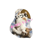 モカの仲間たち（個別スタンプ：32）