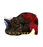 モカの仲間たち（個別スタンプ：38）