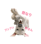 アンディちゃんスタンプ（個別スタンプ：4）