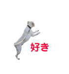 アンディちゃんスタンプ（個別スタンプ：18）