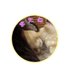 チワワのカリン（個別スタンプ：22）