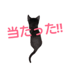 みーにゃんといっしょ！（個別スタンプ：33）