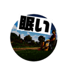 NEXTFIT Kento Official stamp（個別スタンプ：15）