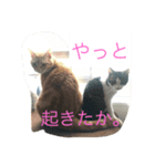 ぽてとちっぷ。（個別スタンプ：4）