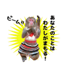 サル劇場のおさるスタンプ（個別スタンプ：15）