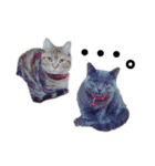 猫ときどき犬とチンチラPart1（個別スタンプ：6）