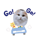 にゃんスタ☆スコ（個別スタンプ：20）