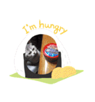 にゃんスタ☆スコ（個別スタンプ：22）