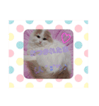 にゃんスタ☆スコ（個別スタンプ：26）