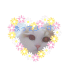 にゃんスタ☆スコ（個別スタンプ：30）