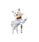 愛犬はる（個別スタンプ：8）