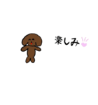 トイプードルのいろいろ言葉（個別スタンプ：12）