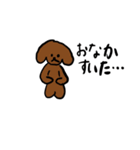 トイプードルのいろいろ言葉（個別スタンプ：13）