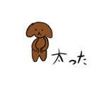 トイプードルのいろいろ言葉（個別スタンプ：22）