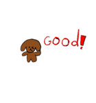 トイプードルのいろいろ言葉（個別スタンプ：37）
