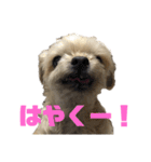 うちのコナン2（個別スタンプ：7）