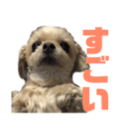 うちのコナン2（個別スタンプ：17）