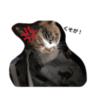my family is Bu-nyan（個別スタンプ：5）
