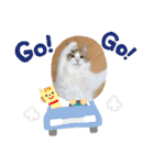 ノルウェージャンフォレストキャットのノル（個別スタンプ：12）