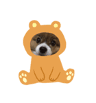 愛犬 わんちゃんスタンプ（個別スタンプ：6）