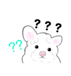 ワタシは白もふ犬（個別スタンプ：12）