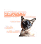 ユズさん（個別スタンプ：3）