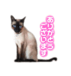 ユズさん（個別スタンプ：5）