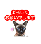 ユズさん（個別スタンプ：7）