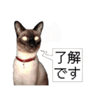 ユズさん（個別スタンプ：8）