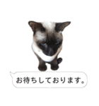 ユズさん（個別スタンプ：10）