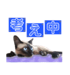 ユズさん（個別スタンプ：11）