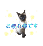 ユズさん（個別スタンプ：17）