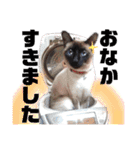 ユズさん（個別スタンプ：19）