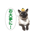 ユズさん（個別スタンプ：22）