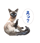 ユズさん（個別スタンプ：25）