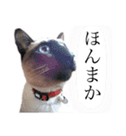 ユズさん（個別スタンプ：39）