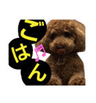 Princessちゃん（個別スタンプ：7）