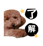 Princessちゃん（個別スタンプ：12）