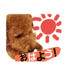 Princessちゃん（個別スタンプ：15）