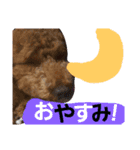 Princessちゃん（個別スタンプ：16）