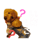 Princessちゃん（個別スタンプ：19）