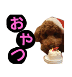 Princessちゃん（個別スタンプ：21）
