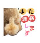 Princessちゃん（個別スタンプ：22）